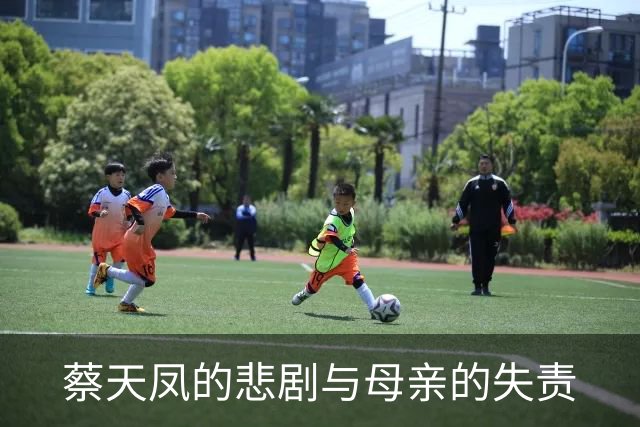 蔡天凤的悲剧与母亲的失责